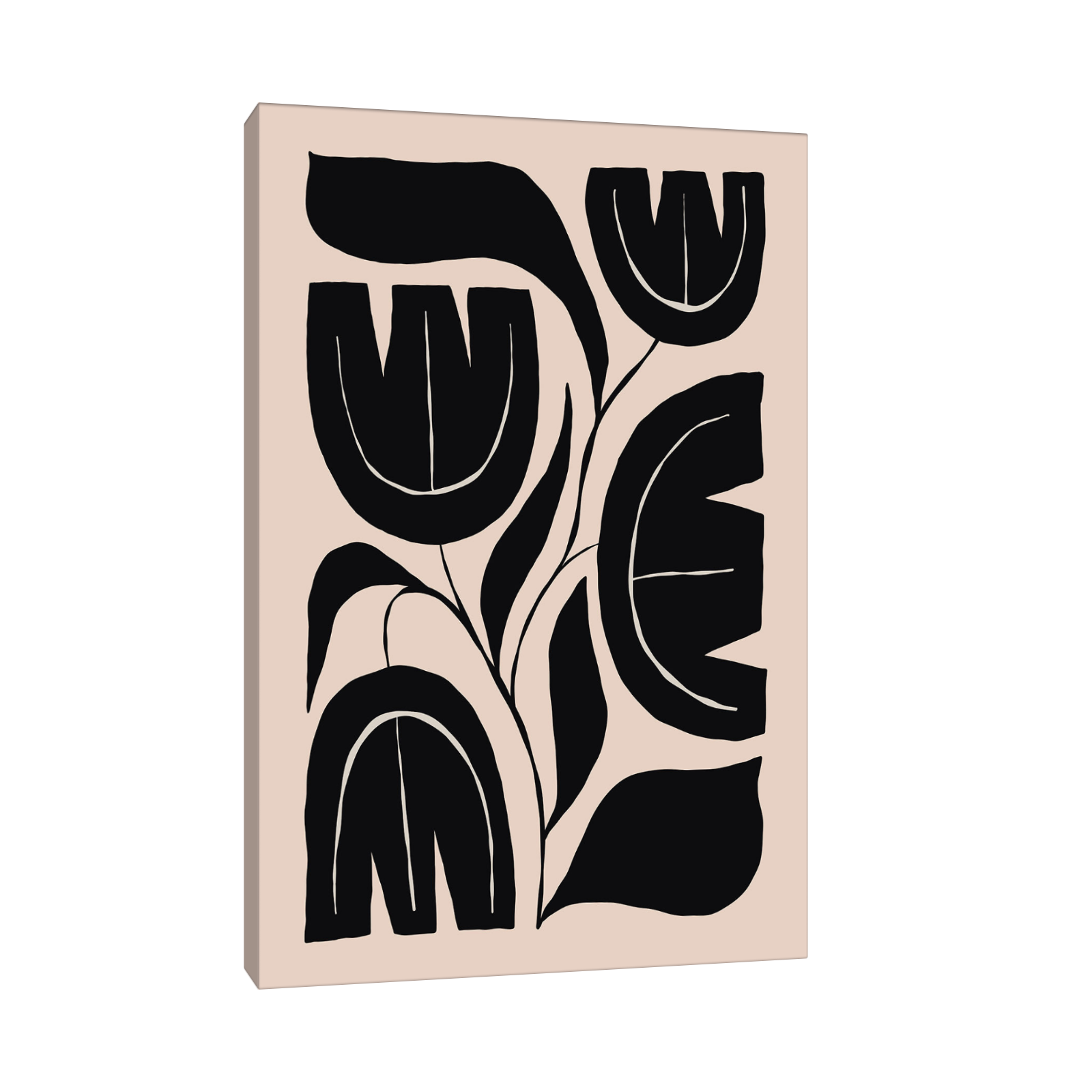 Minimalistička crno-bež ilustracija cvetova