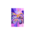 File created by SMART App.