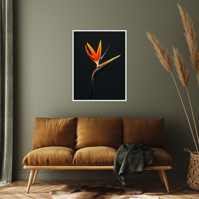 Umetnička slika ​Strelitzia  na crnu pozadinu na platnu - NS Canvas Shop