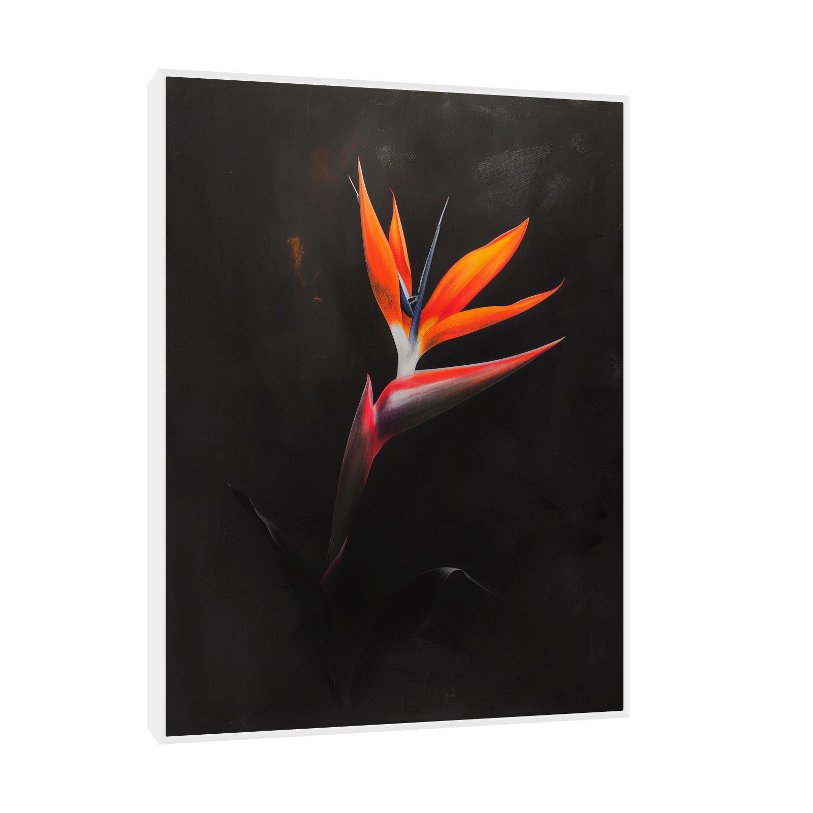 Umetnička slika ​Strelitzia  na crnu pozadinu II na platnu - NS Canvas Shop