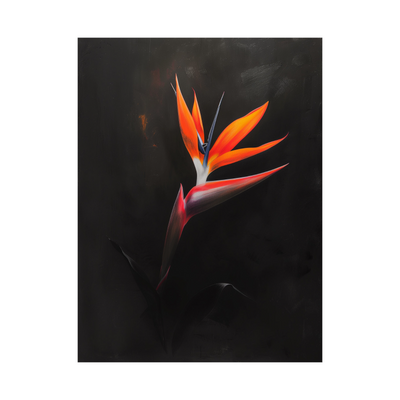 Umetnička slika ​Strelitzia  na crnu pozadinu II na platnu - NS Canvas Shop