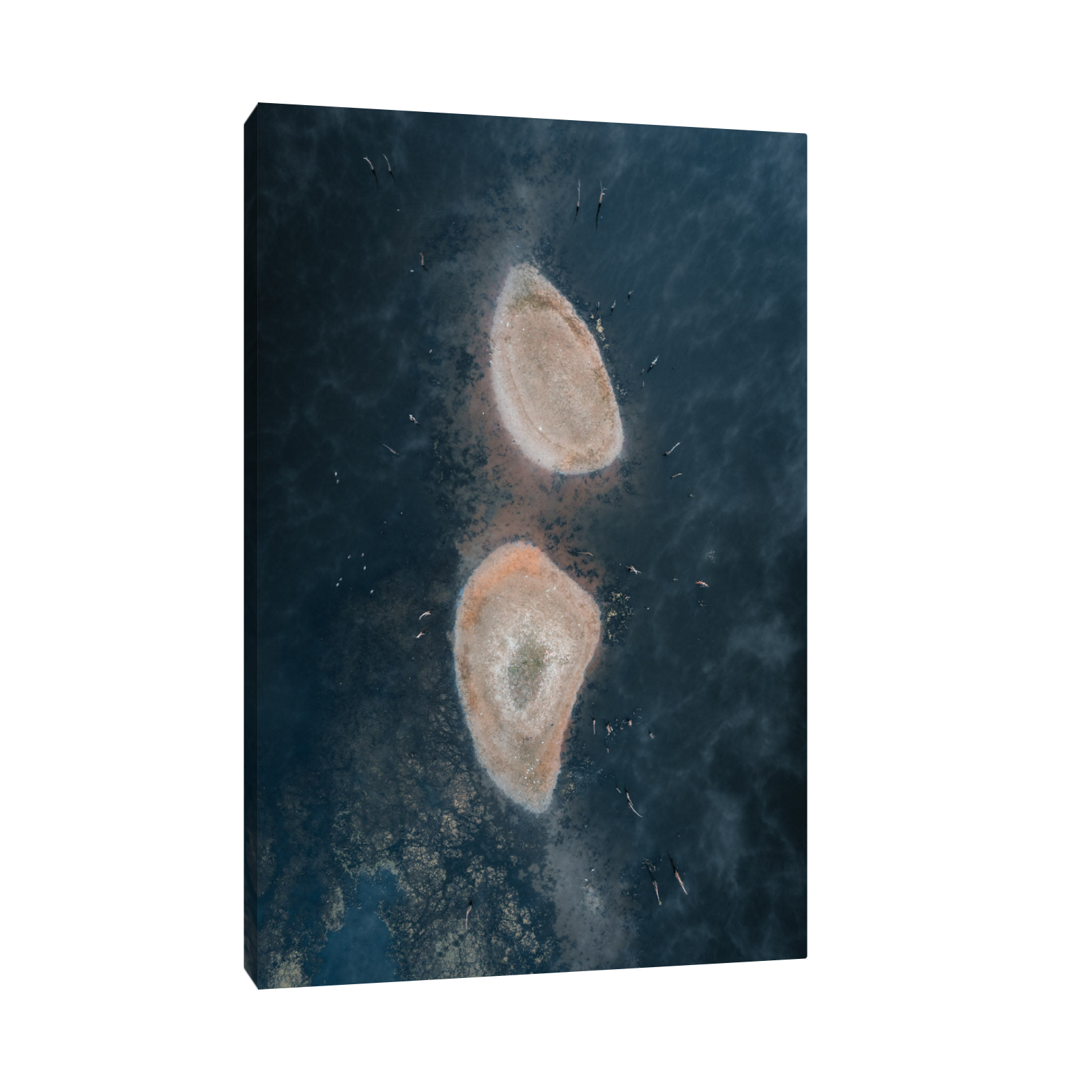 Umetnička slika ​Sunčane obale na platnu - NS Canvas Shop