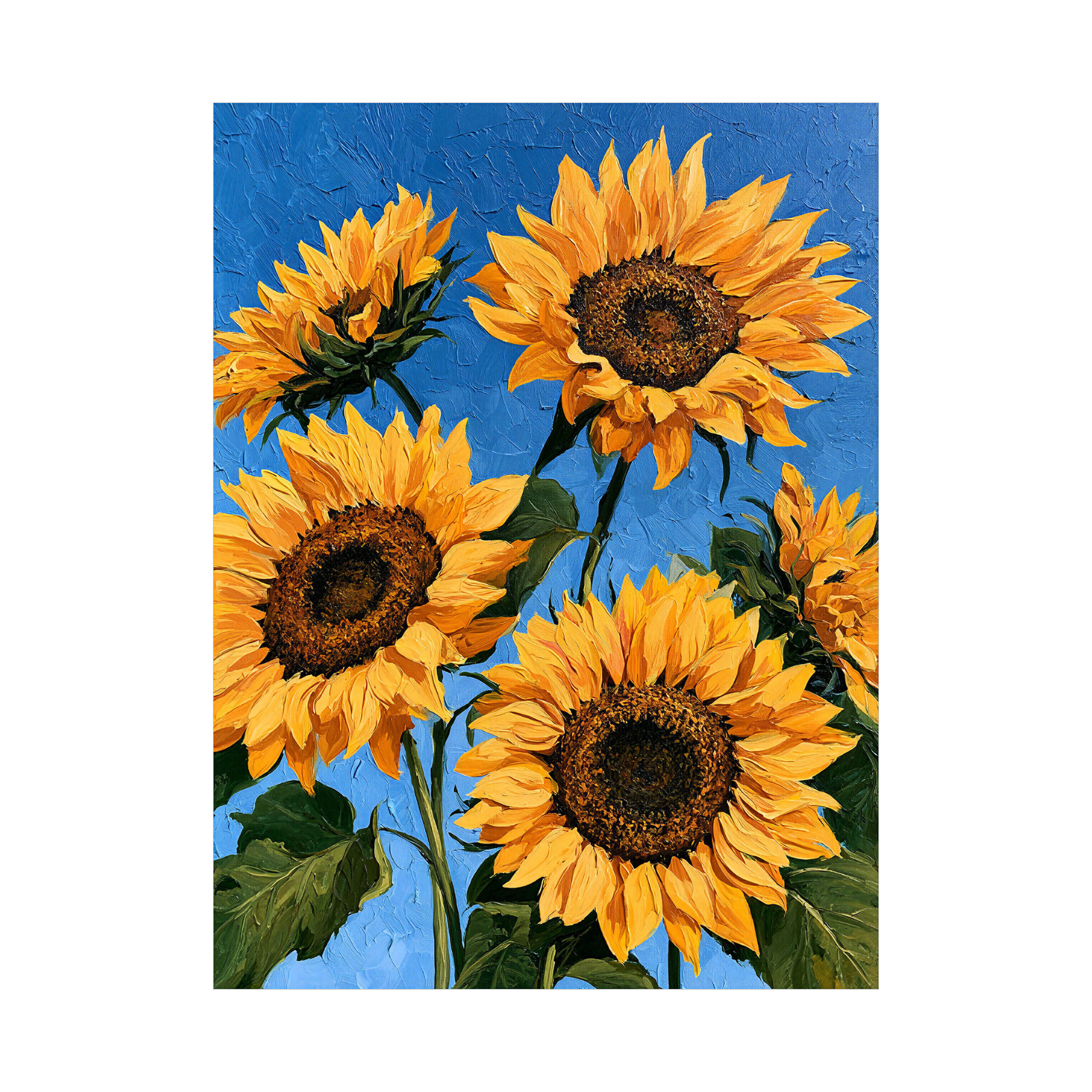 Suncokreti