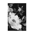 Umetnička slika ​Floralni kontrast III na platnu - NS Canvas Shop