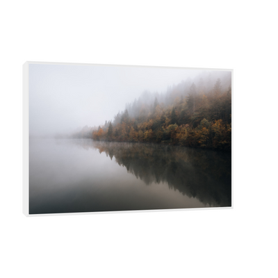 Umetnička slika ​Velika šuma pored jezera na platnu - NS Canvas Shop