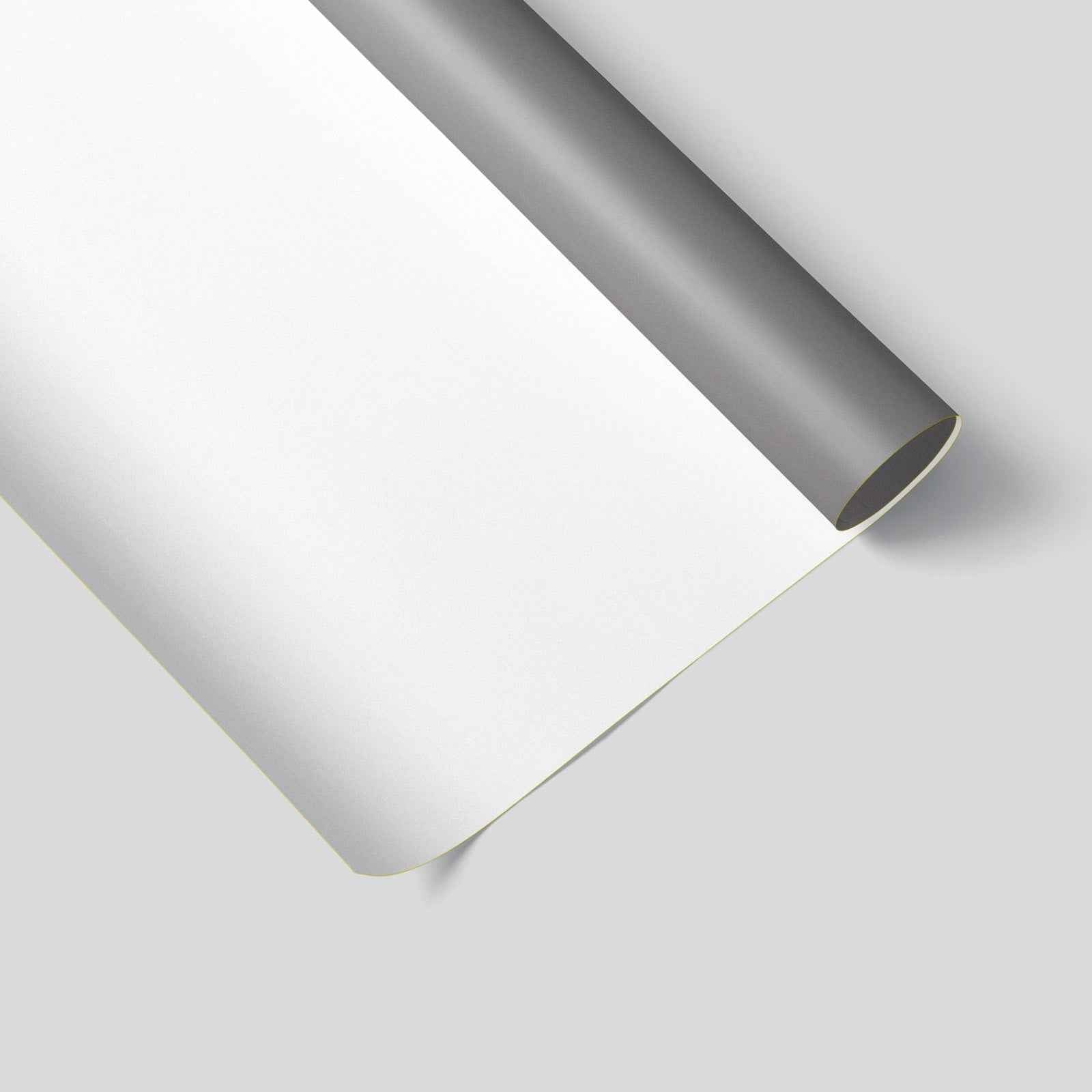 Minimalistička ilustracija biljke u saksiji