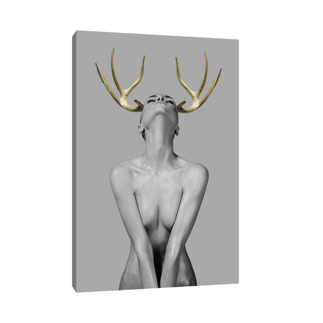 Umetnička slika ​Vizija na platnu - NS Canvas Shop