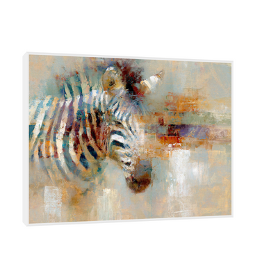 Zebra u boji