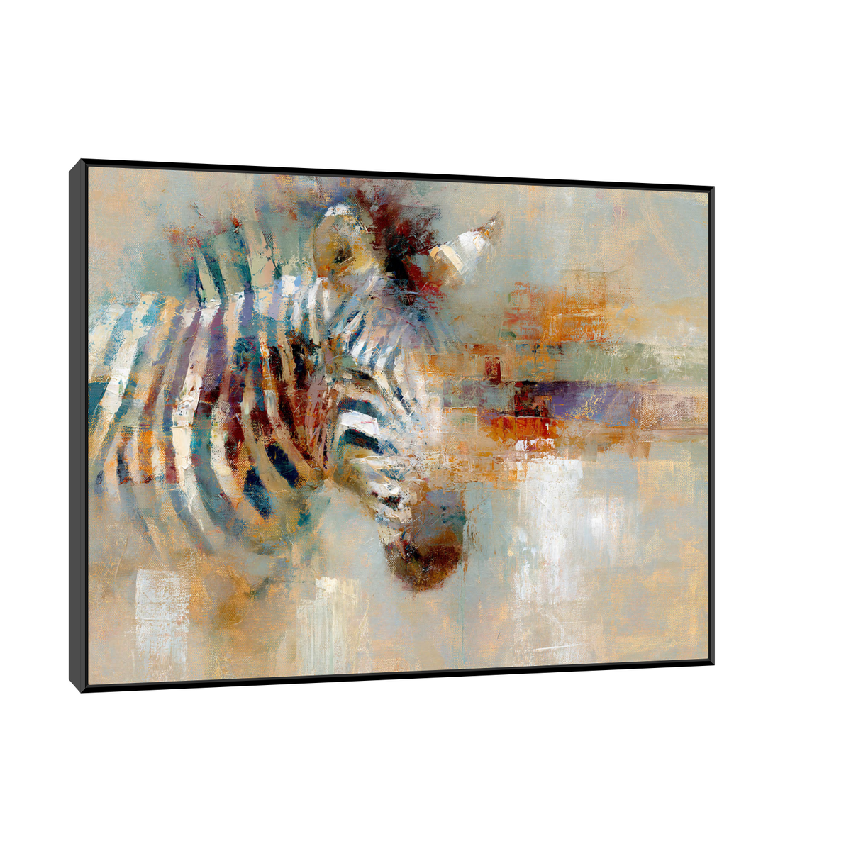 Zebra u boji