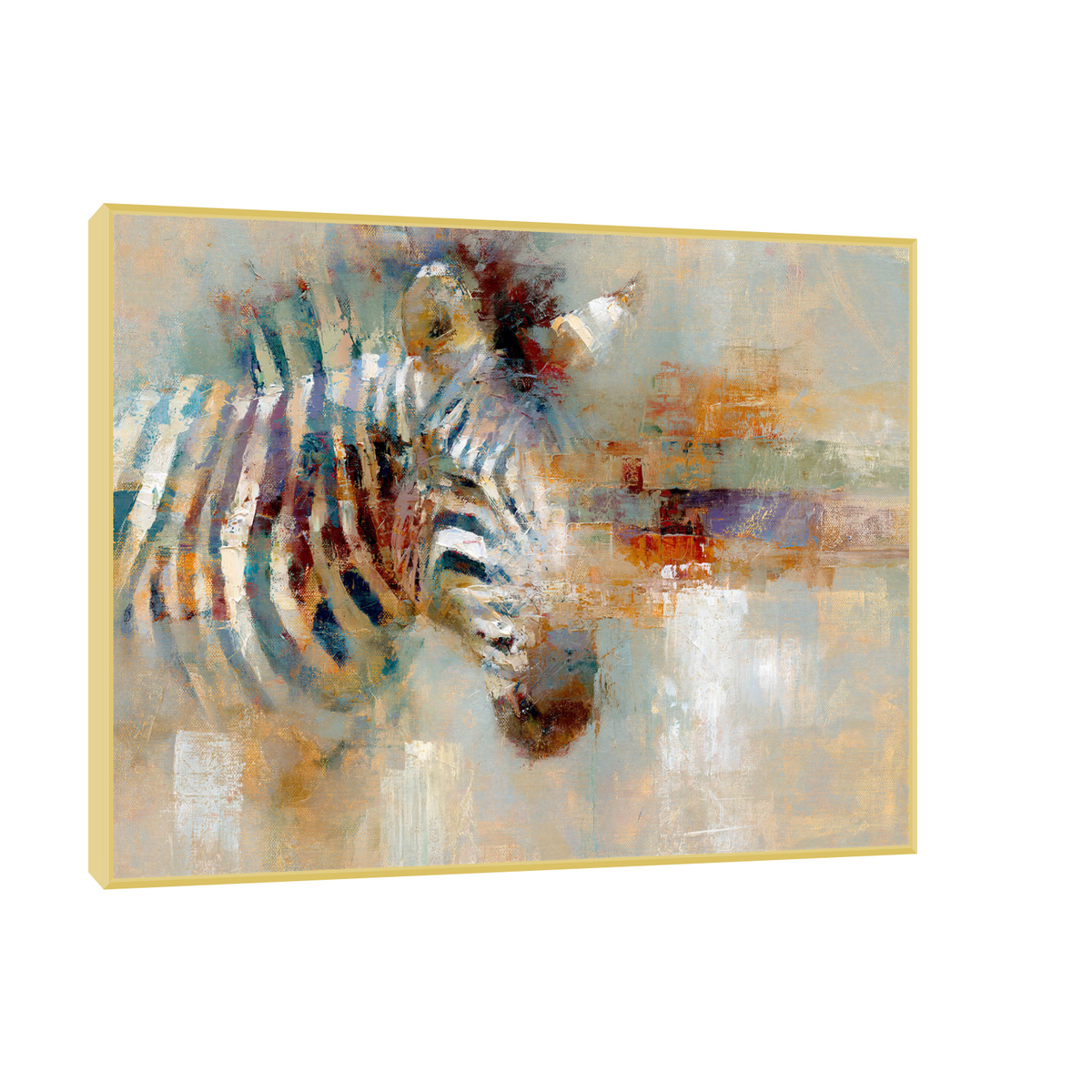 Zebra u boji