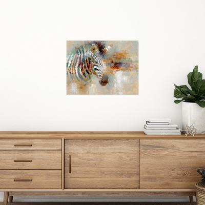 Zebra u boji