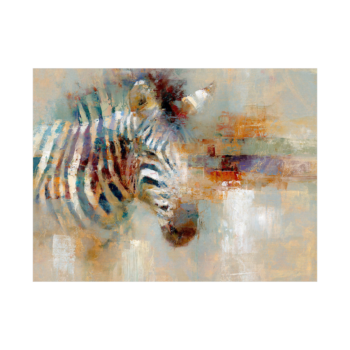 Zebra u boji