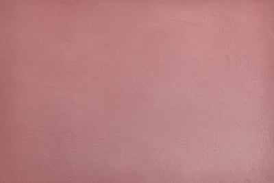 Umetnička slika ​Pastel pink, Blush, Rose portrait backdrop na platnu - NS Canvas Shop