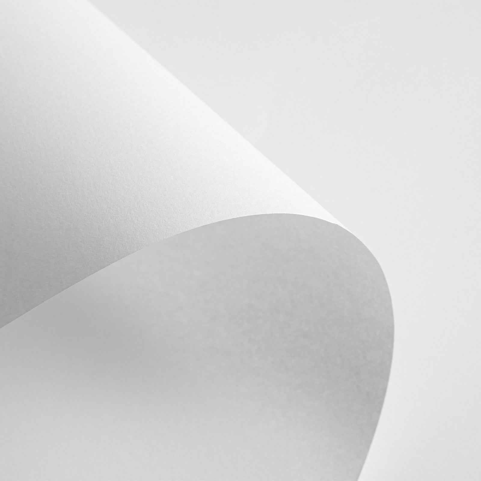 Minimalistička ilustracija biljke u saksiji II